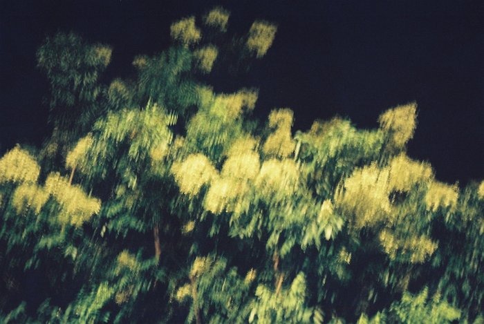 original print_a0214096_21572614.jpg
