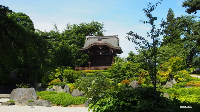 f0053297_3564465.jpg