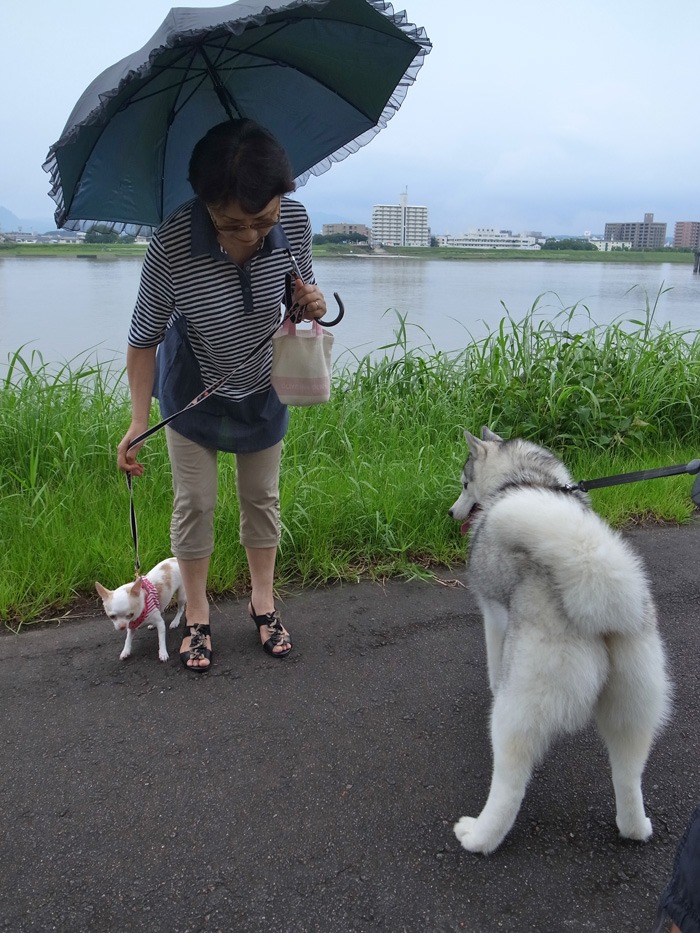 雨の合間に　(*^_^*)_c0049299_22382245.jpg