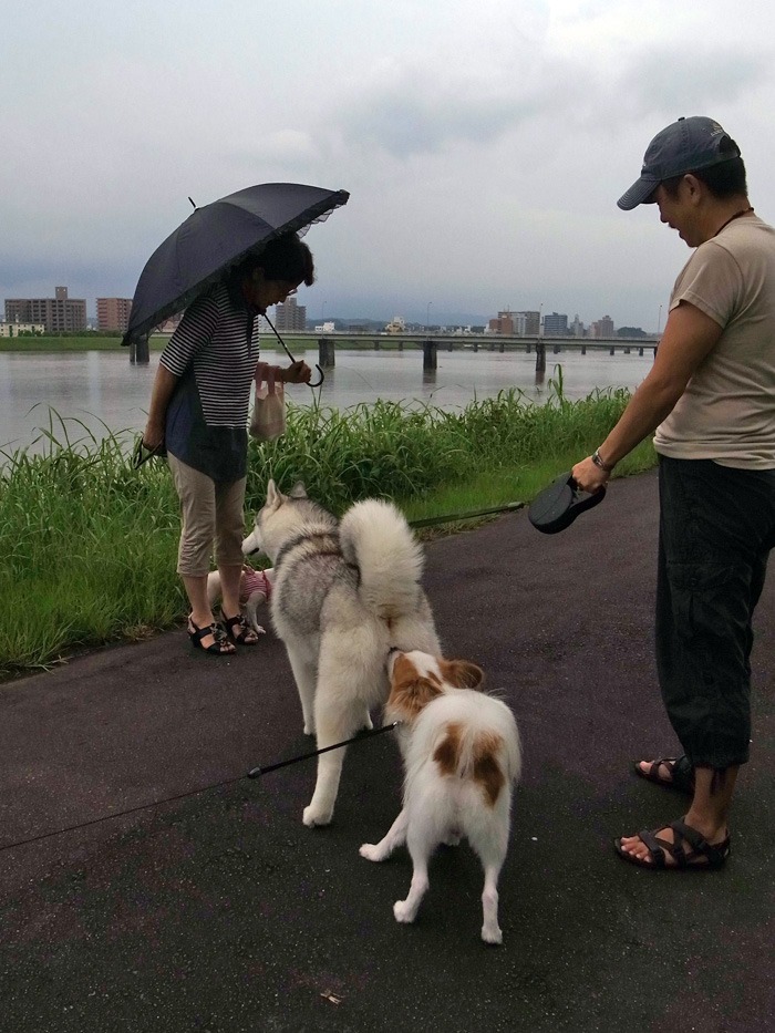 雨の合間に　(*^_^*)_c0049299_22382796.jpg