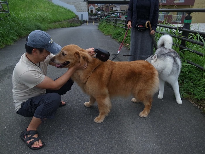 雨の合間に　(*^_^*)_c0049299_22384755.jpg