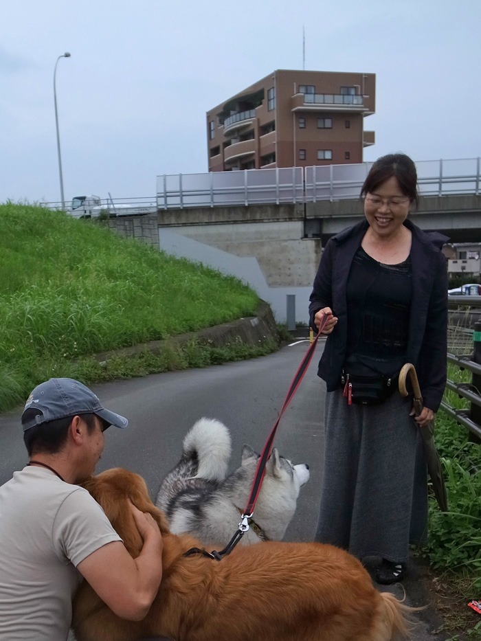 雨の合間に　(*^_^*)_c0049299_223852100.jpg