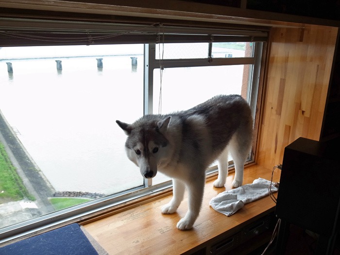 雨の合間に (*^_^*)_c0049299_22385373.jpg
