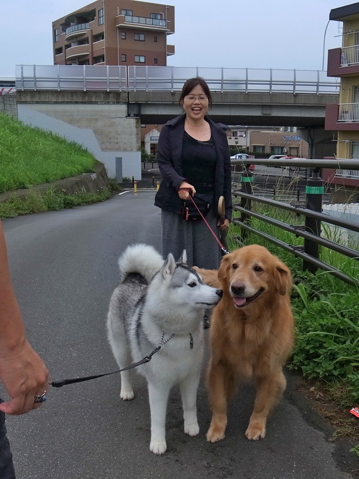 雨の合間に　(*^_^*)_c0049299_22385870.jpg