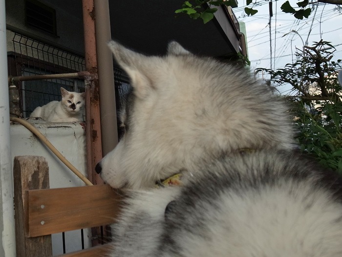 雨の合間に　(*^_^*)_c0049299_2241488.jpg