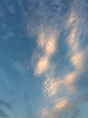 b0189200_6511264.jpg