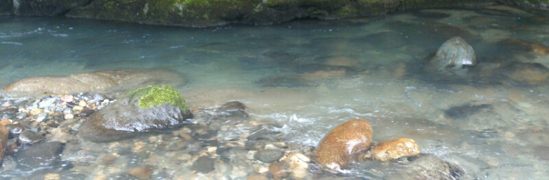 f0266202_258243.jpg
