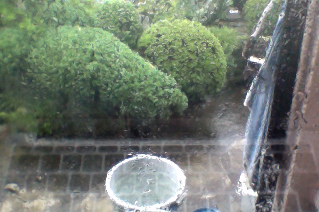 c0187503_1164625.jpg