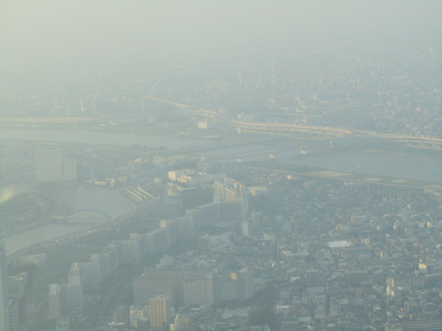 a0100706_21494410.jpg