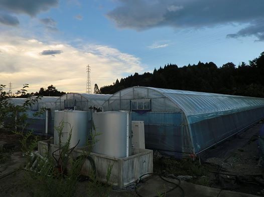 c0163508_22494537.jpg