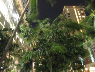 夏休みの、中休み?より・・・。_d0091909_8452777.jpg