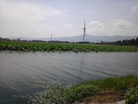e0125811_20404225.jpg