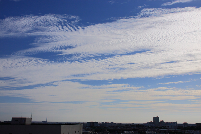 うろこ雲　（巻積雲）_b0268615_6324460.jpg