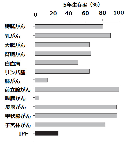 特発性間質性肺炎の生命予後_e0156318_14291221.jpg