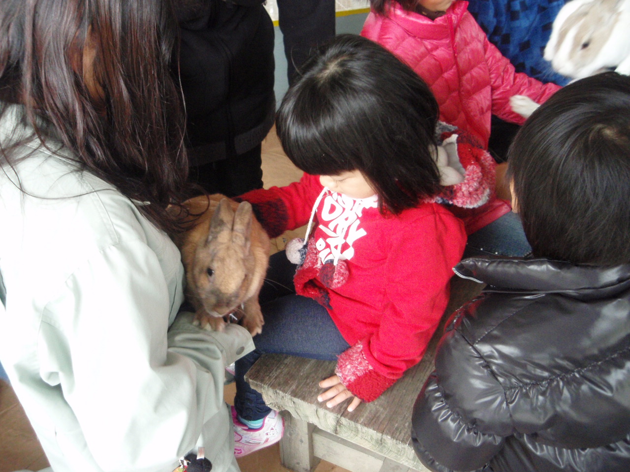 第52回 FC岐阜コラボイベント詳細_d0237121_3524484.jpg