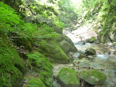 d0227723_22313019.jpg