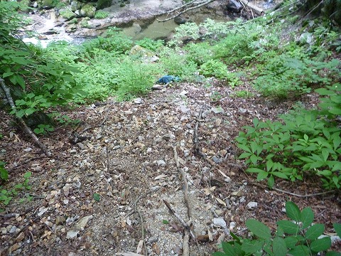 d0227723_22313031.jpg