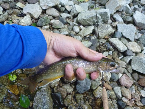 d0227723_22330060.jpg