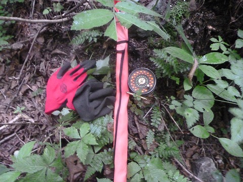 d0227723_22333051.jpg