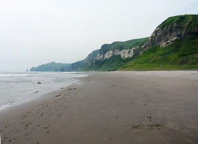 c0204725_0482089.jpg