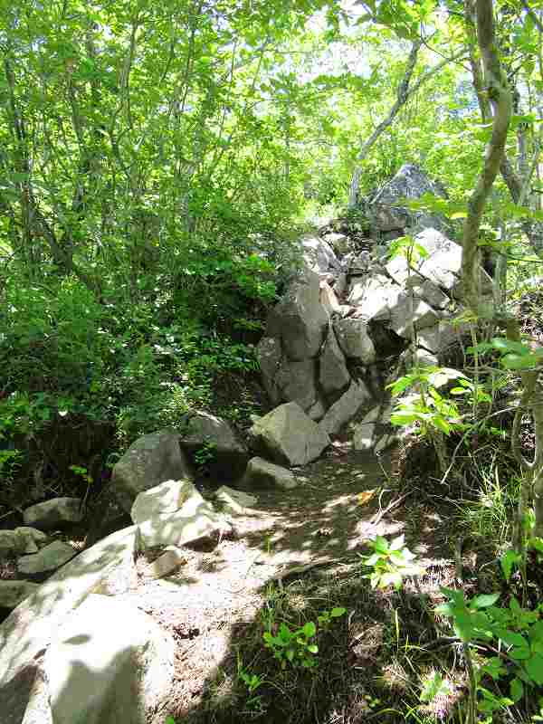 f0100825_1930723.jpg