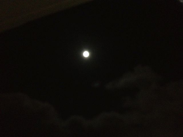 b0198126_23284272.jpg