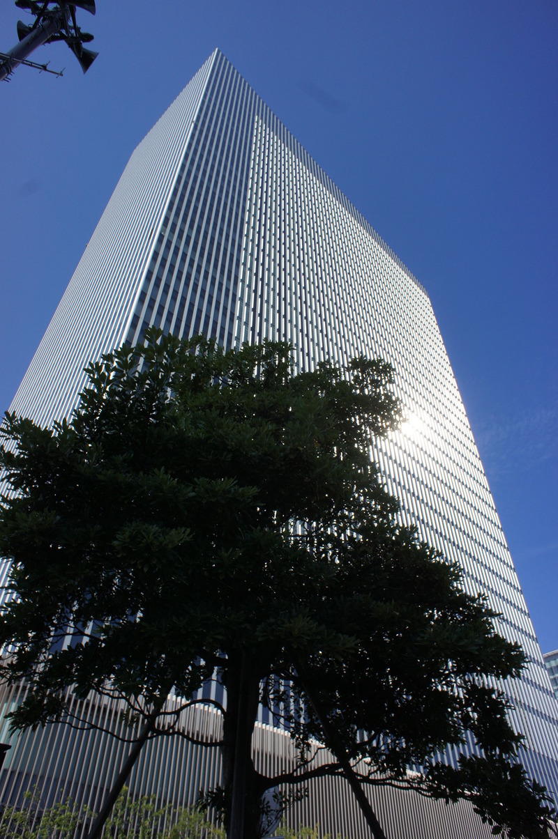 a0217029_1515832.jpg