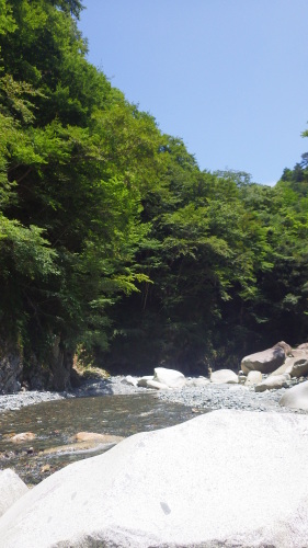 初の登山釣行 その4_c0149633_17541095.jpg