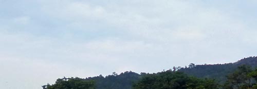 b0063436_933146.jpg