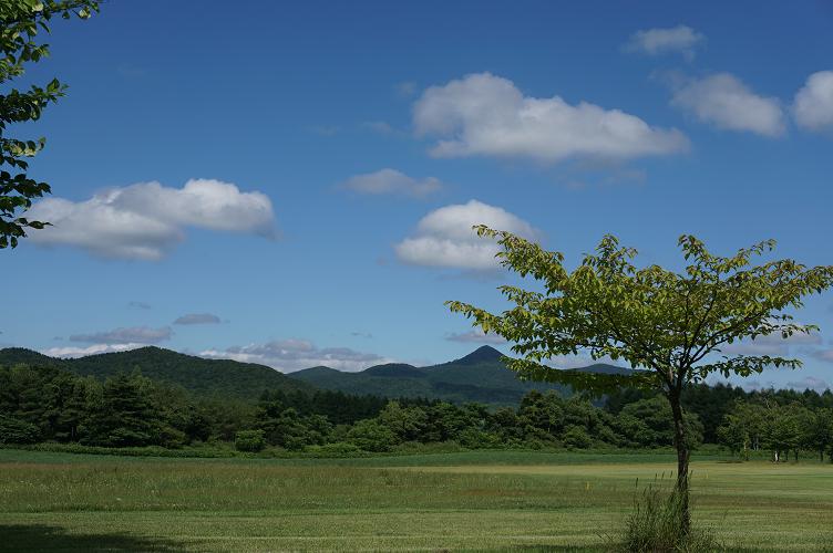 風がわたる草原_e0295348_10405697.jpg