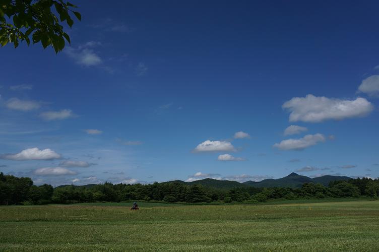 風がわたる草原_e0295348_1043490.jpg