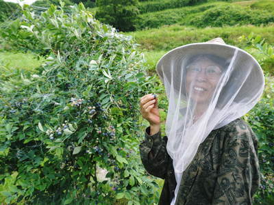 フレッシュブルーベリー　世界がその効能に注目するブルーベリーを無農薬で育てています_a0254656_17554928.jpg