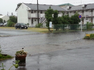 台風11号_a0247857_20505795.jpg