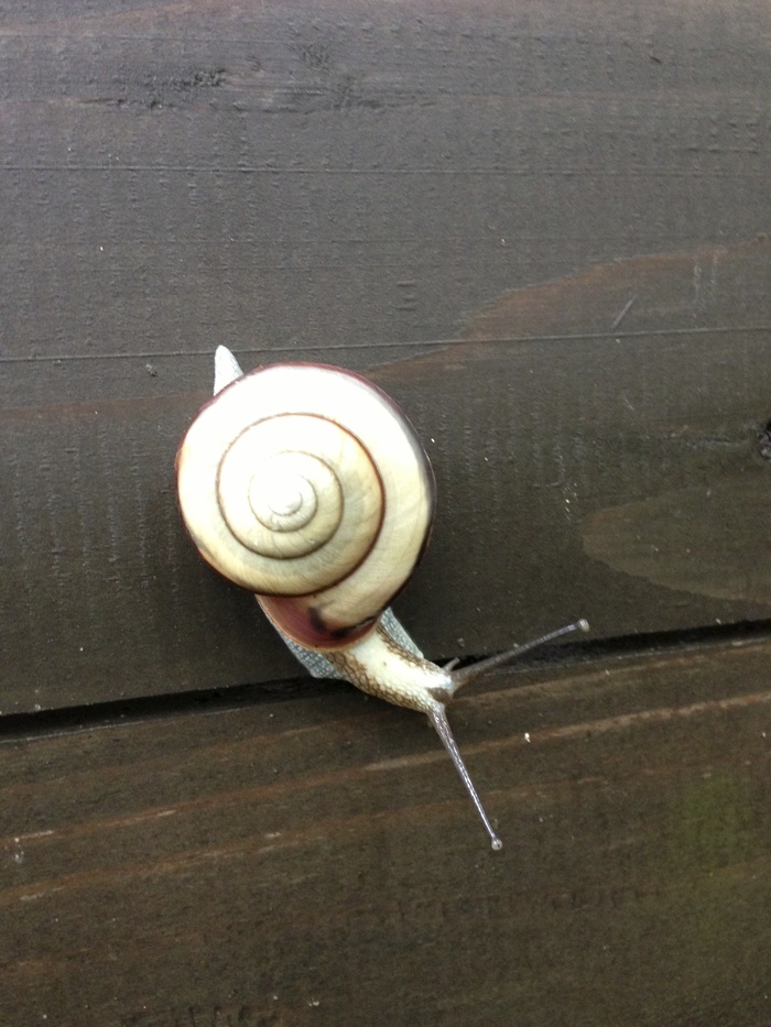 e0201358_23852.jpg