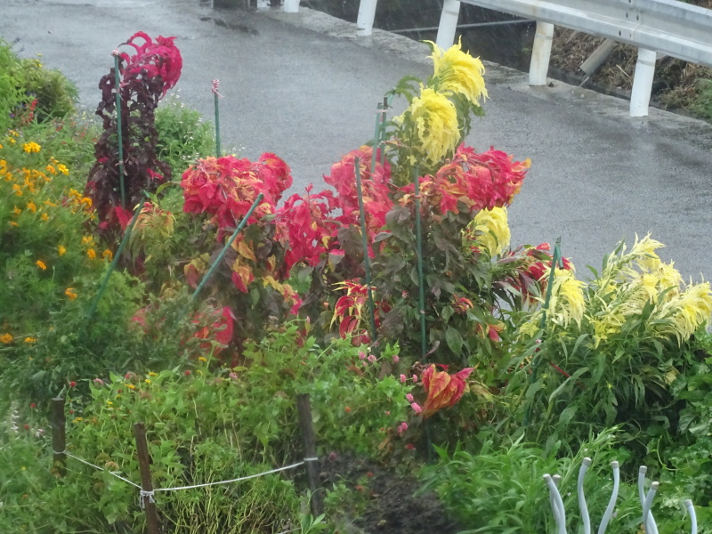 c0108460_13312196.jpg