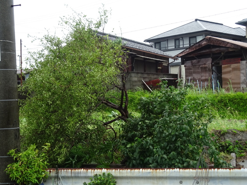 c0108460_13411847.jpg