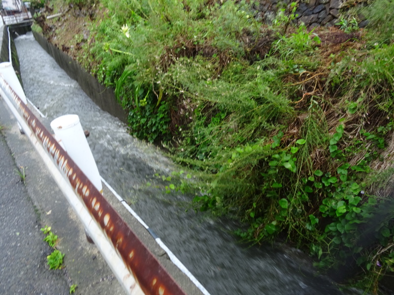 c0108460_13412183.jpg