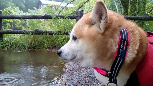 b0274270_11555626.jpg