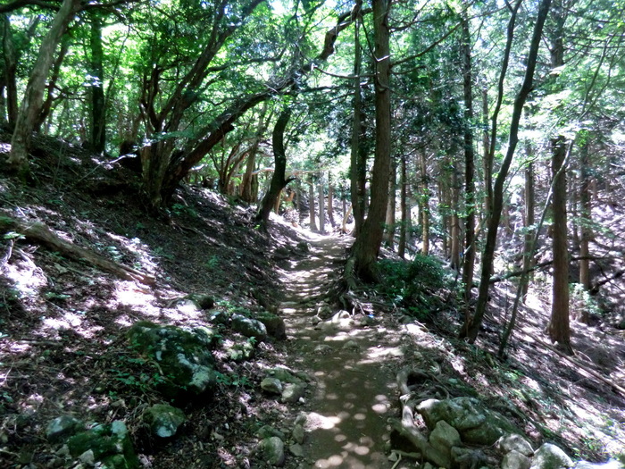b0185573_873997.jpg