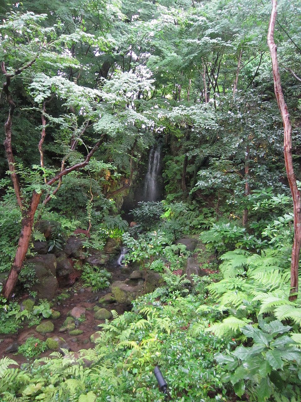 a0207574_01990.jpg