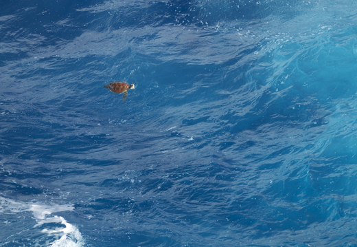 c0096278_13133556.jpg