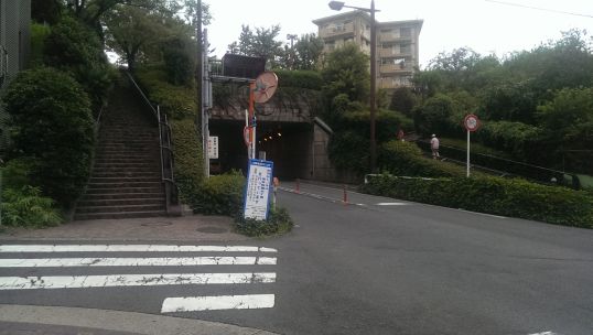e0020682_8481755.jpg