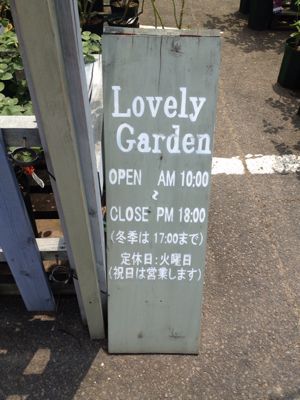 Lovely Garden_f0091282_9363516.jpg