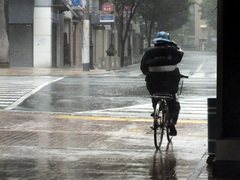 8月10日(日)､風雨強しの神戸ですが､ﾌｫﾄｶﾌｪは通常どおり営業致します_b0192588_9321100.jpg