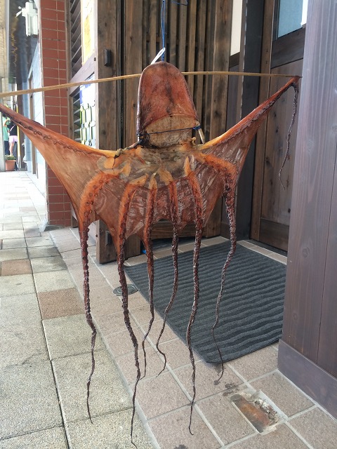 浜の たこめしの素となる 干しだこ_d0268290_7213026.jpg