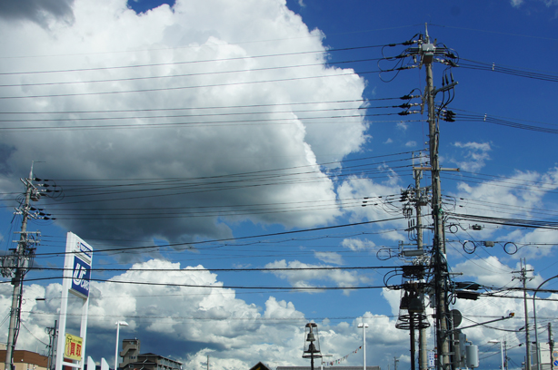 雨の中のツバメ２羽／夏の雲_c0139591_22482039.jpg