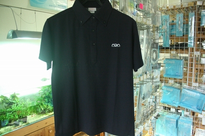入荷情報とお知らせ_c0203392_15562393.jpg