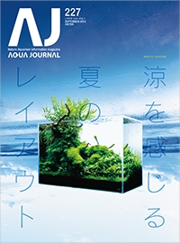 入荷情報とお知らせ_c0203392_160274.jpg