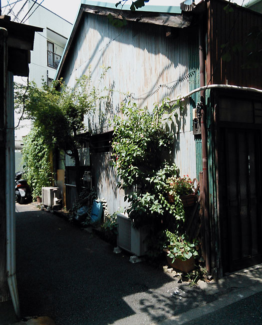 d0134896_14553468.jpg