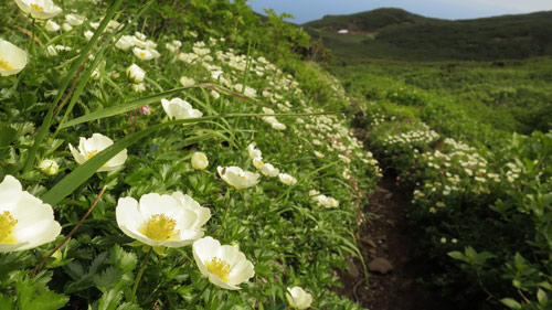 回想　2014北海道_a0157297_00110893.jpg